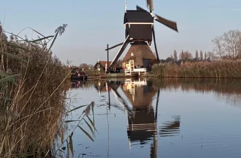 Molen